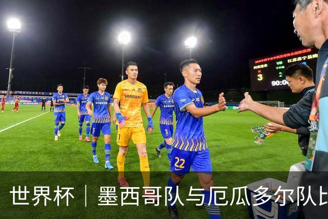 世界杯｜墨西哥队与厄瓜多尔队比赛因雷雨延迟